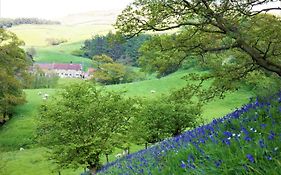 Bluebells Cottage